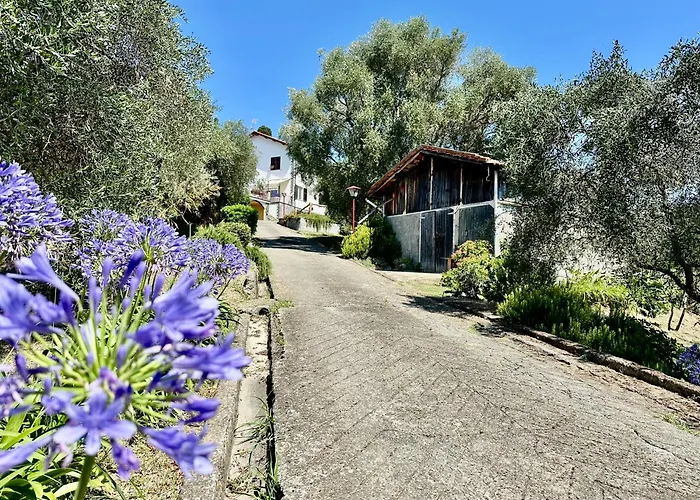 Uliveto Bartolomeo Bed & Breakfast