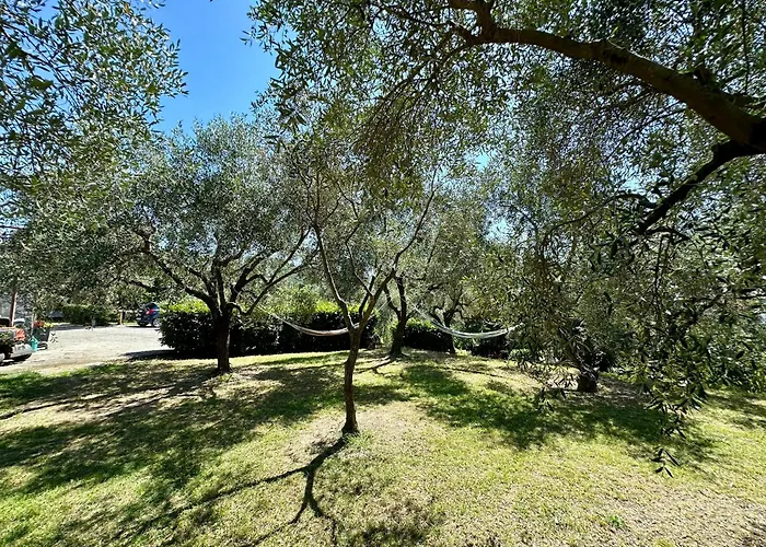 B&B Uliveto Bartolomeo 세스트리레반떼