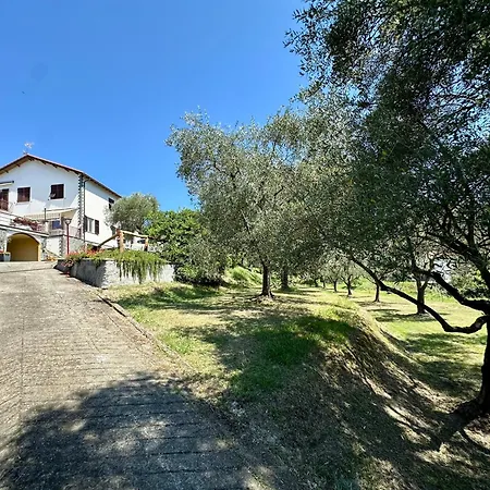 Bed & Breakfast Uliveto Bartolomeo