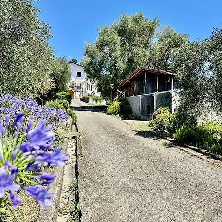 Uliveto Bartolomeo Bed & Breakfast