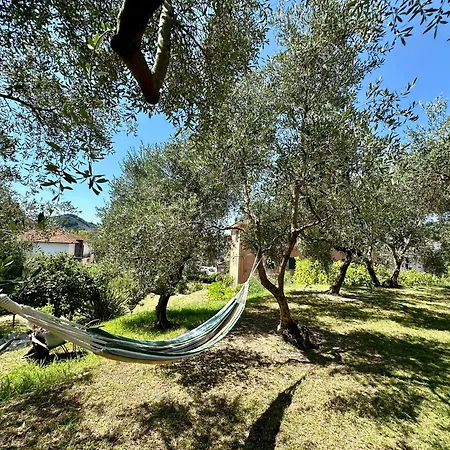 Uliveto Bartolomeo 4*